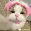 vy.quynh803