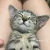 kieutr2kk6