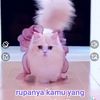 putri.terbuang7
