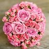 dina.hagres1