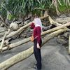 mawarmaulidyah12gmail.c