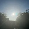 summer_27098