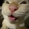 kehuydien.000