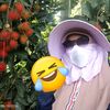 anakbugispatani