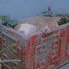 cat_lover__24