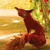 .fox.like.heart