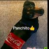 mr_music045