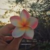 kathgolap_1234