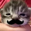 _bisddorddaayy_owo