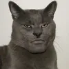 you_calm0