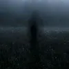 pevonvibes
