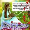 yesicacom1