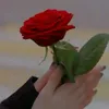 ejek.rhdh