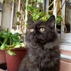 kheirabeta