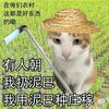 kurewku