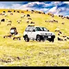 ebrahimshexmhamad