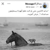 user724244151