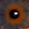 iamfergus
