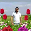 walid.khaled041