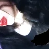 rrtrx0_