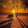 seham.abdelfatah2