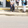 yaircito49