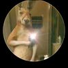 mkoff_44564