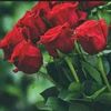 user14871409452971