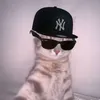 pieh_star