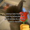 povderam