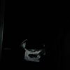 whois_arli