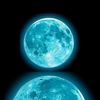 shahariar.molla7
