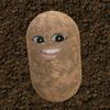 vanajahboy1