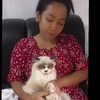 anabul371