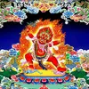 hanh.nguyenthi1983