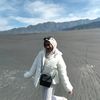 sec_niyy2