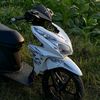 wannkzr07