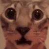 silversocks