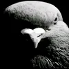 user81049974606098