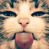 mil_lka42