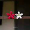 susmita8227
