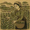 shokafarmvn