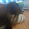 linaliiiii05
