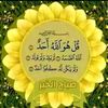 user44186909881628