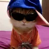 faker0590