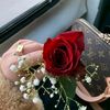 ibtisam.nihad
