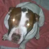giuseppe_079