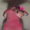 potetos_kawaii8