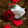 user7785452142494