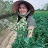 cbaminty04